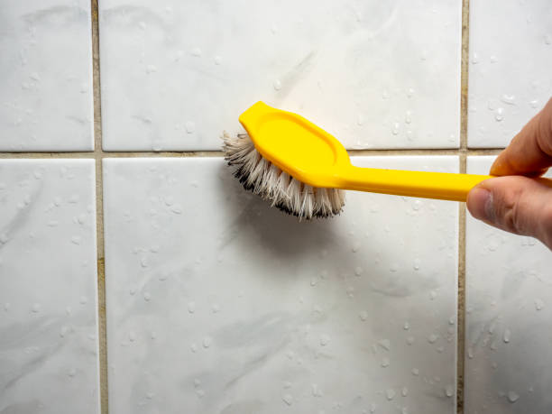 Best Mold Remediation for Schools in Roseburg, OR