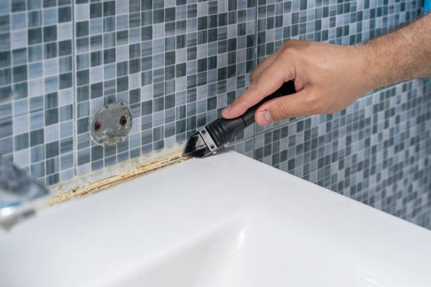 Best Commercial Mold Remediation in Roseburg, OR